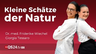 Vital und Heilpilze für Ihre Gesundheit  Pilzsaucen  Doctors Kitchen Talk  QS24 [upl. by Lanfri]