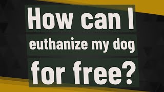 How can I euthanize my dog for free [upl. by Silrac79]