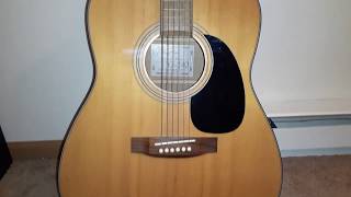 Takamine G Series [upl. by Czarra]