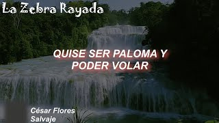 César Flores  Salvaje Letra [upl. by Renie]