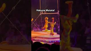 The Lion King Show at Disney’s Animal Kingdom WDW disneyparks [upl. by Alcott845]