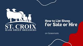 How to List Sheep for Sale on Grassroots  Using the SCHSB Registry [upl. by Gurtner989]