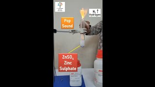 Reaction of Zinc and Sulphuric Acid [upl. by Oleta]