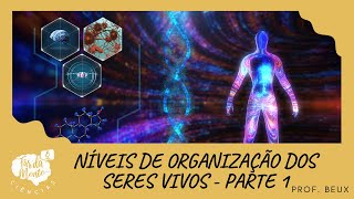 NÍVEIS DE ORGANIZAÇÃO DOS SERES VIVOS  parte 1  Ensino Fundamental [upl. by Bashee]