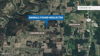 Corydon Indiana couple charged with 50 counts of animal cruelty [upl. by Ynots]