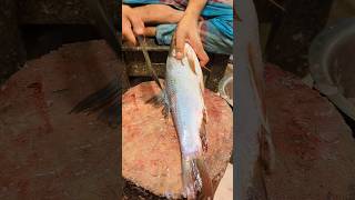 Most Creative Rohu Fish Cutting Skills By Professional Cutter😲 episode12 shorts [upl. by Marlane560]