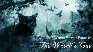 The Witch’s Cat [upl. by Milman]