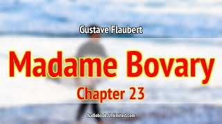 Madame Bovary Audiobook Chapter 23 with subtitles [upl. by Tnomel]