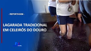 LAGARADAS TRADICIONAIS EM CELEIRÓS DO DOURO [upl. by Nnaaihtnyc]