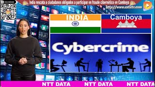 India rescata a ciudadanos obligados a participar en fraude cibernético en Camboya [upl. by Seugram]