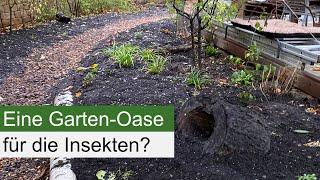 Ein neuer Naturgarten entsteht unter altem Strauch und Baumbestand [upl. by Robin]