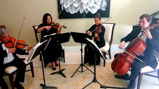 Mendelssohns Wedding March string quartet [upl. by Arinayed276]