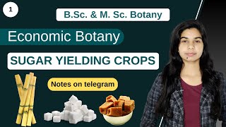 Economic Botany  SUGAR YIELDING CROPS  Botany  B Sc amp M Sc [upl. by Neirod]