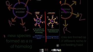 Convergent Evolution vs adaptive radiation class 12 evolution ncert physicswallah alakhpandey [upl. by Artek]