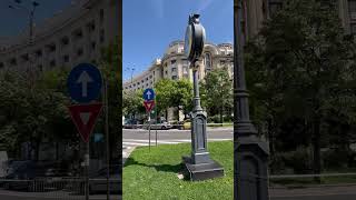 MS bucharest marathon romania parlament piazza [upl. by Reinhard]