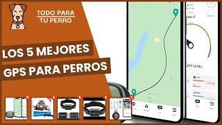 Los 5 mejores gps para perros [upl. by Anabal]