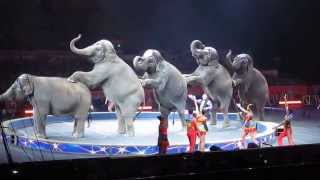 Ringling Brothers Circus  Cruelty to Elephants  Sept 1 2014 [upl. by Horner]