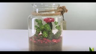 DIY déco  créer un terrarium de cactus et succulentes  Truffaut [upl. by Renard868]