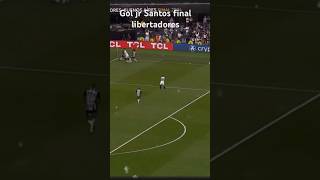 Gol jr Santos final libertadores Atlético Mineiro chorando [upl. by Ahsilaf]