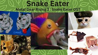 MGS3 OST Snake Eater cover [upl. by Donni]