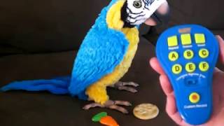 FurReal Parrot Remote Control Easy Operation [upl. by Enitsugua]