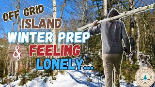 Off Grid Island Homesteading Winter Prep and Feeling Lonely  S2 Ep48 [upl. by Demetra]