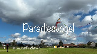 Paradiesvogel [upl. by Woodford]