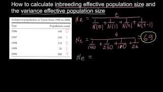 How to calculate inbreeding effective population size and the variance effective population size [upl. by Kesley]