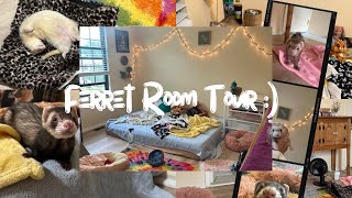 New Ferret Room Tour [upl. by Dougald662]