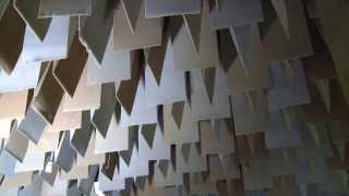 Anechoic and reverberation rooms [upl. by Mireielle]