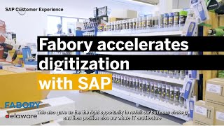 Fabory accelerates digitization with SAP and delaware [upl. by Ateiluj923]