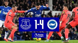 Premier League Highlights Everton 14 Brighton amp Hove Albion [upl. by Hoeve]