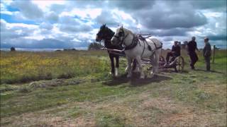 Trim Haymaking Festival [upl. by Doherty]