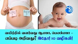 வயிற்றில் வளர்வது ஆணா பெண்ணா  எப்படி அறிவது இதோ 10 வழிகள்  Tamil TV [upl. by Layman699]