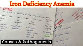 Iron Deficiency Anemia 12 [upl. by Codi]