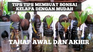 CARA MEMBUAT DAUN BONSAI KELAPA NAMPAK INDAH [upl. by Georgianne]