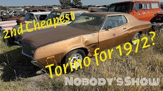 New Inventory The 2nd Cheapest 1972 Torino 2 door Hardtop you could order from Ford [upl. by Joslyn]