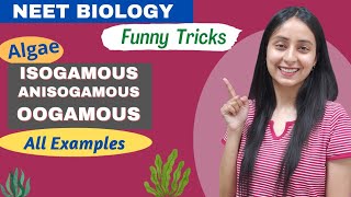 Funny Tricks to Learn Isogamous Anisogamous Oogamous Examples  NEET BIOLOGY [upl. by Lamdin]