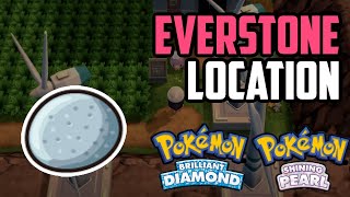 Where to Find Everstone  Pokémon Brilliant Diamond amp Shining Pearl All Methods [upl. by Innoj]