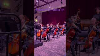 Gold Coast String Orchestra  Year End Concert 2024 [upl. by Marduk449]