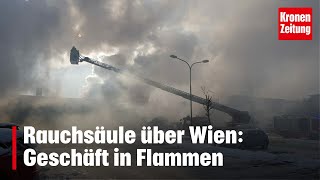 Rauchsäule über Wien Geschäft in Flammen  kronetv [upl. by Adnohral]