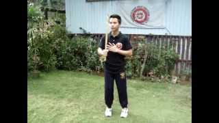 Balintawak Eskrima 12 Basic Strikes [upl. by Odnumde]