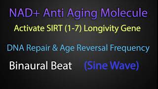 NAD Molecule Increase Sound Frequency for Anti Aging amp DNA repair [upl. by Hudnut614]