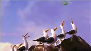 Finding Nemo 2003 Seagulls [upl. by Herodias995]