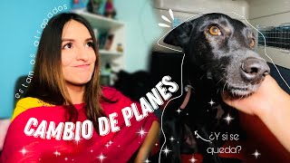 Esta noticia es desmoralizante  Unboxing de mi Skin Care  Viajar con mascotas es tedioso 😓 [upl. by Aylsworth861]