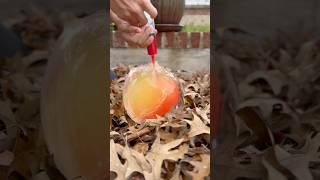 Inserting colors into iced balloon [upl. by Lunna]