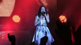 Within Temptation LIVE 20130518 Cracow Czyżynalia Poland  Angels [upl. by Skipton]