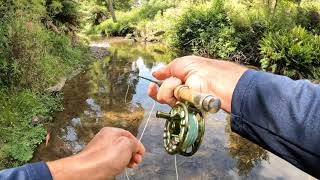 Otways Trout on Fly  Part2 3 [upl. by Ottavia]