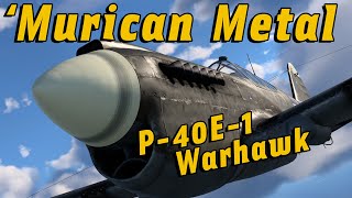 Reviewing The P40E1  War Thunder Sim VR [upl. by Boyse]