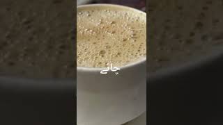 Chai Lover Ka Status  Song For Whatsapp  Tea Ke Gane  Chaye Ki Shayari  Ganay  Ganeey  Ganey [upl. by Lilian]